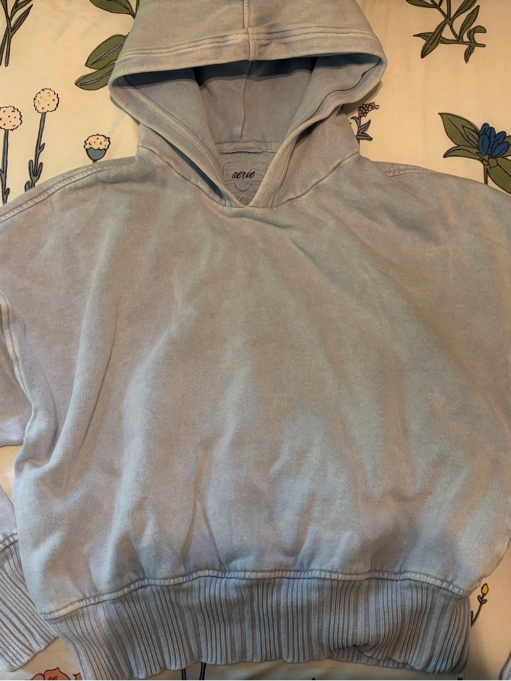 Aerie Pale Blue Pullover Hoodie